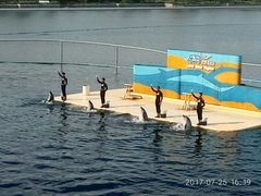 -秦皇岛乐岛海洋王国