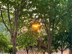 -海底捞火锅(海悦天地店)