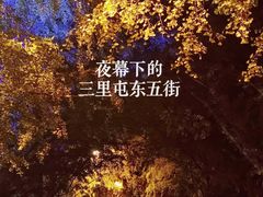 -三里屯东五街银杏大道