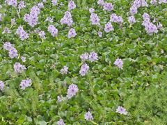 -成都中医药大学(温江校区)