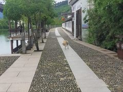 -绩溪龙川景区