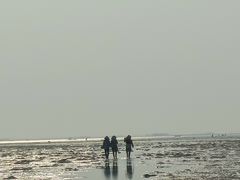 -北海金海湾红树林生态旅游区