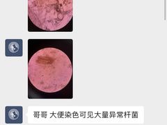 -严国平动物医院(德政总院)