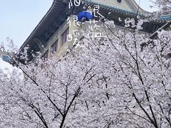-武汉大学-樱园