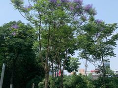 -宜家家居(高新商场店)