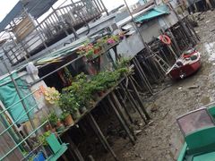 iphone_upload_pic-大澳