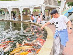 -国色天乡三期陆地乐园