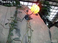 Picture 079-绿色时代大酒店