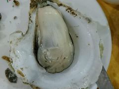 -蚝专家(北滘店)