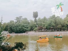 -莲湖公园
