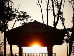 -东郊湿地公园