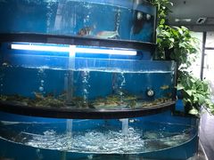 -王家渡火锅店(棕榈泉店)
