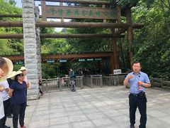 -牛背梁国家森林公园