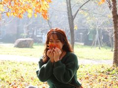 -田野绿世界