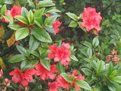 -梧桐山风景名胜区