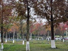 -白鹭湾湿地公园