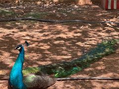 -昆明动物园