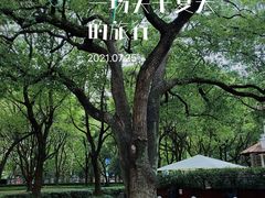 -徐家汇公园