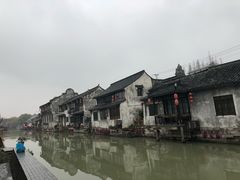 -枫泾丁氏烧卖(枫丽路店)