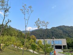 -大秦面庄(青松路店)