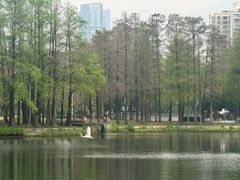 -四海公园(南山区)