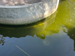 -小象钓虾·营地烧烤(洛溪店)
