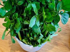 -吉友粥底火锅(方斜路店)