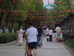 -合肥野生动物园
