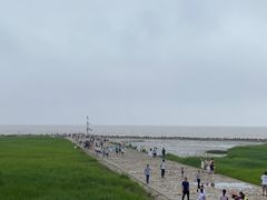 -南汇嘴观海公园