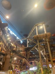 -卡通尼·Safari非洲探索乐园·生日会(金桥国际商业广场店)