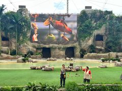 -新加坡飞禽公园