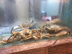 水产区-海逸海鲜酒家(古北店)