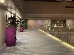 -南京禄口机场雅高铂尔曼大酒店