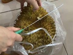 -双福水果批发市场