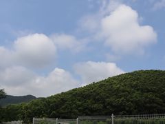 -北马山庄植趣咖啡