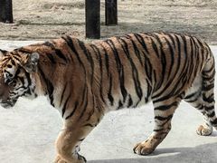 -南京金牛湖风景区