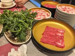 -一绪に寿喜烧(荟聚店)