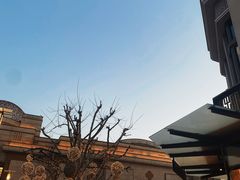 -比斯特上海购物村精品奥特莱斯