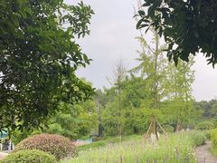 -铁山坪森林公园