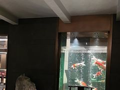-浩运·海鲜青岛菜·海胆水饺(石老人店)