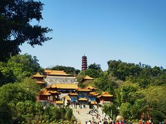 -南沙天后宫景区