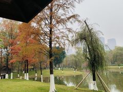 -沐仙湖湿地公园