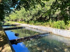 -广州白江湖森林公园