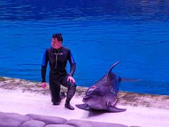 -华夏文旅海洋公园