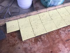 蔺大妈松花糕-蔺大妈松花糕