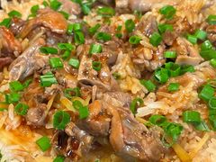 鸽子饭-金山记靓鸡专门店·中山菜