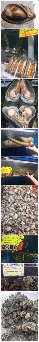 -蚝专家(北滘店)