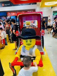 -乐高品牌旗舰店(人民广场店)