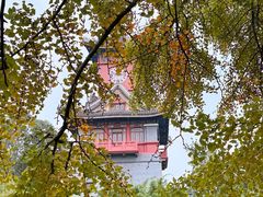 -四川大学(华西校区)