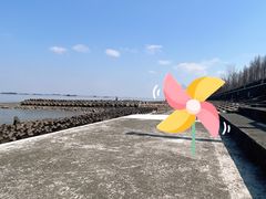 -上海滨江森林公园